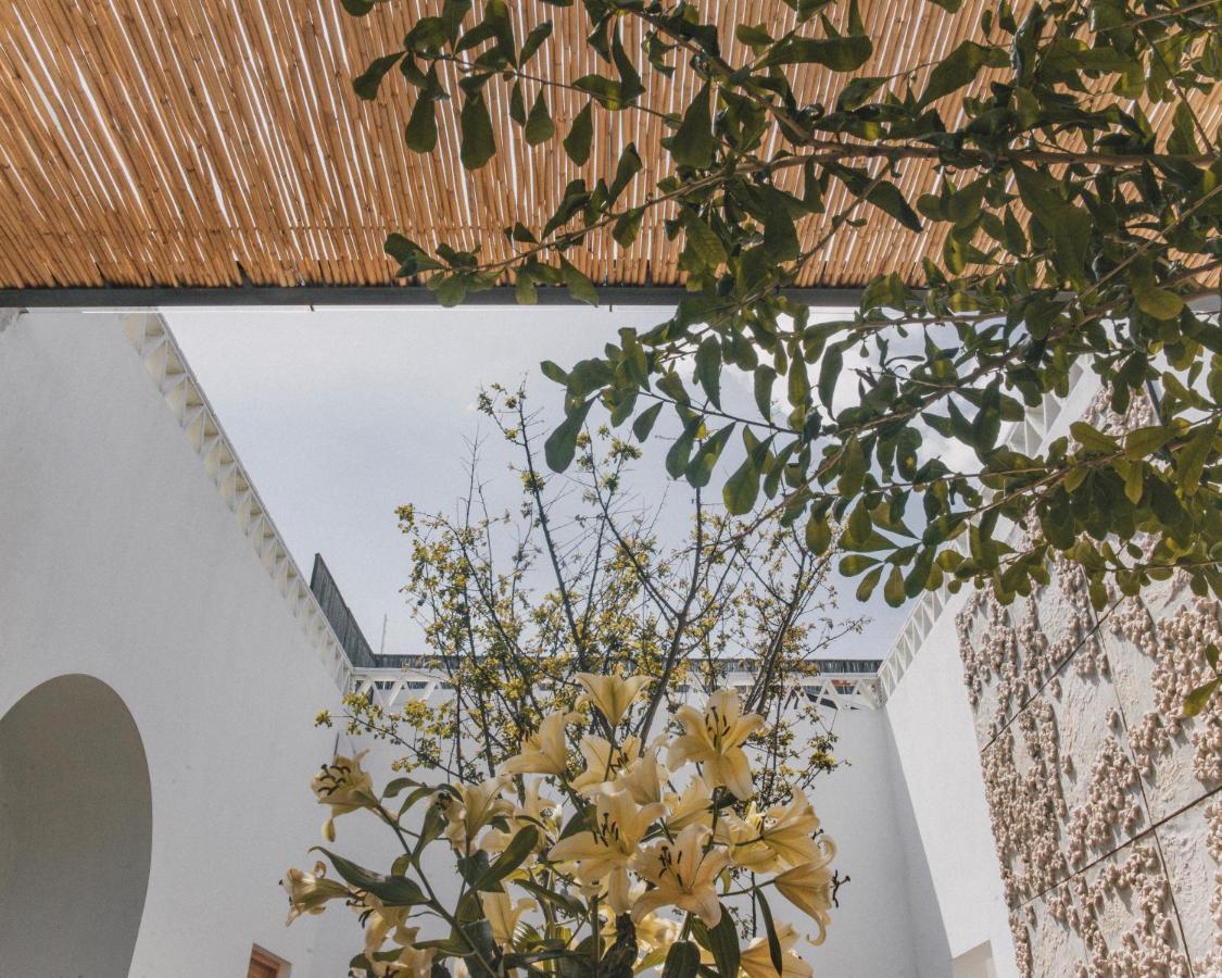 Casa Carmen Morelos Oaxaca Eksteriør billede