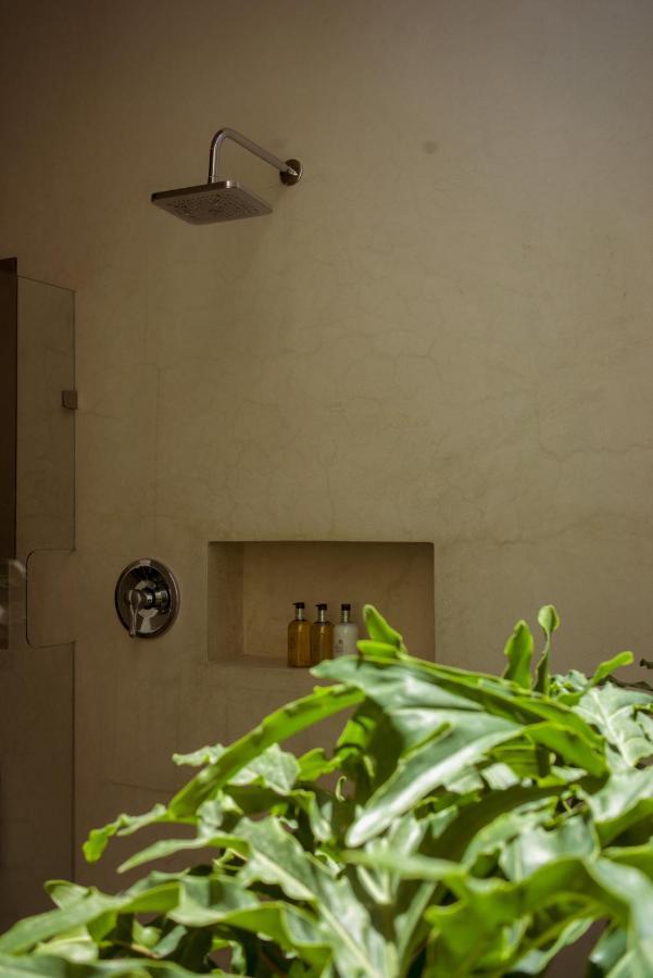 Casa Carmen Morelos Oaxaca Eksteriør billede